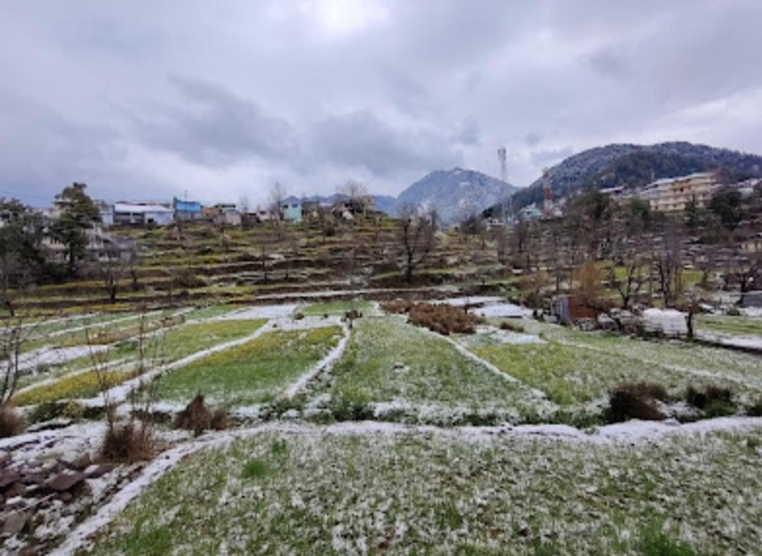 Ruby Hill View Hotell McLeod Ganj Eksteriør bilde